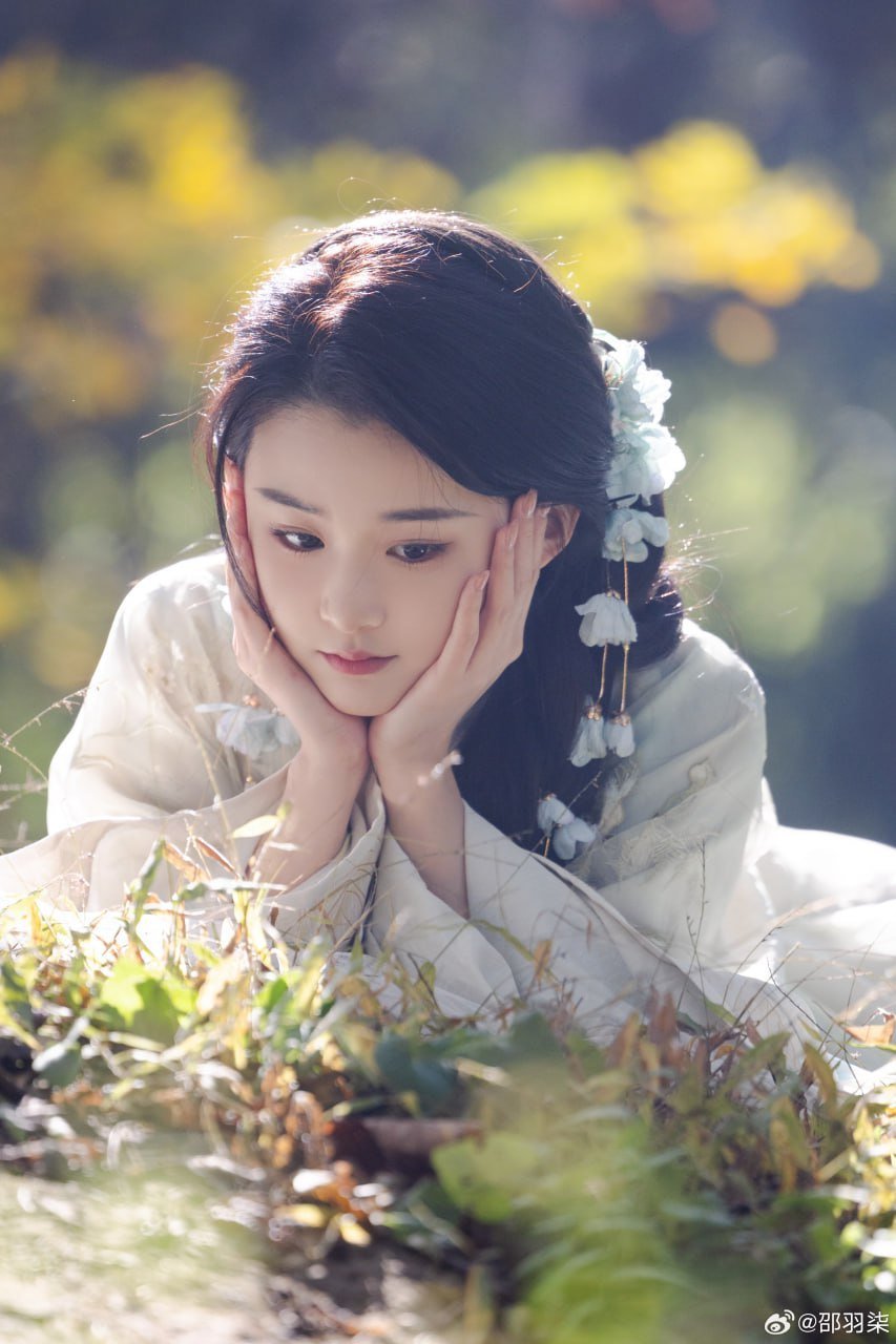 揭秘东营高端包养现象：奢华背后的真实与选择