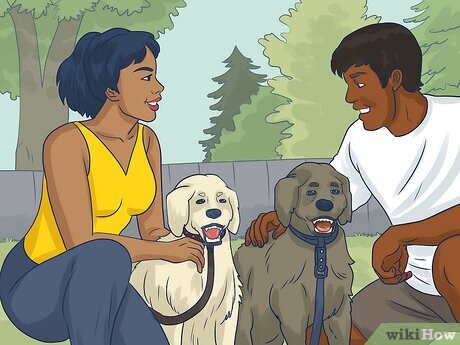 Dogs are a fun and casual conversation starter.