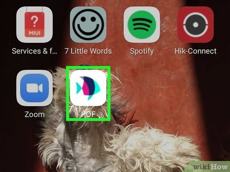 Step 1 Launch Plenty of Fish.