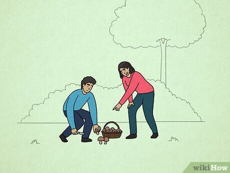 Step 4 Go mushroom foraging.